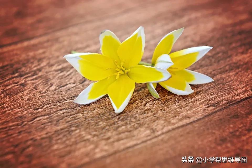 写关于滋味的作文,独特的滋味优秀作文叙事