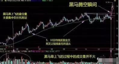 北京大学美女教师的演讲:黑马股启动前的征兆,堪称一绝