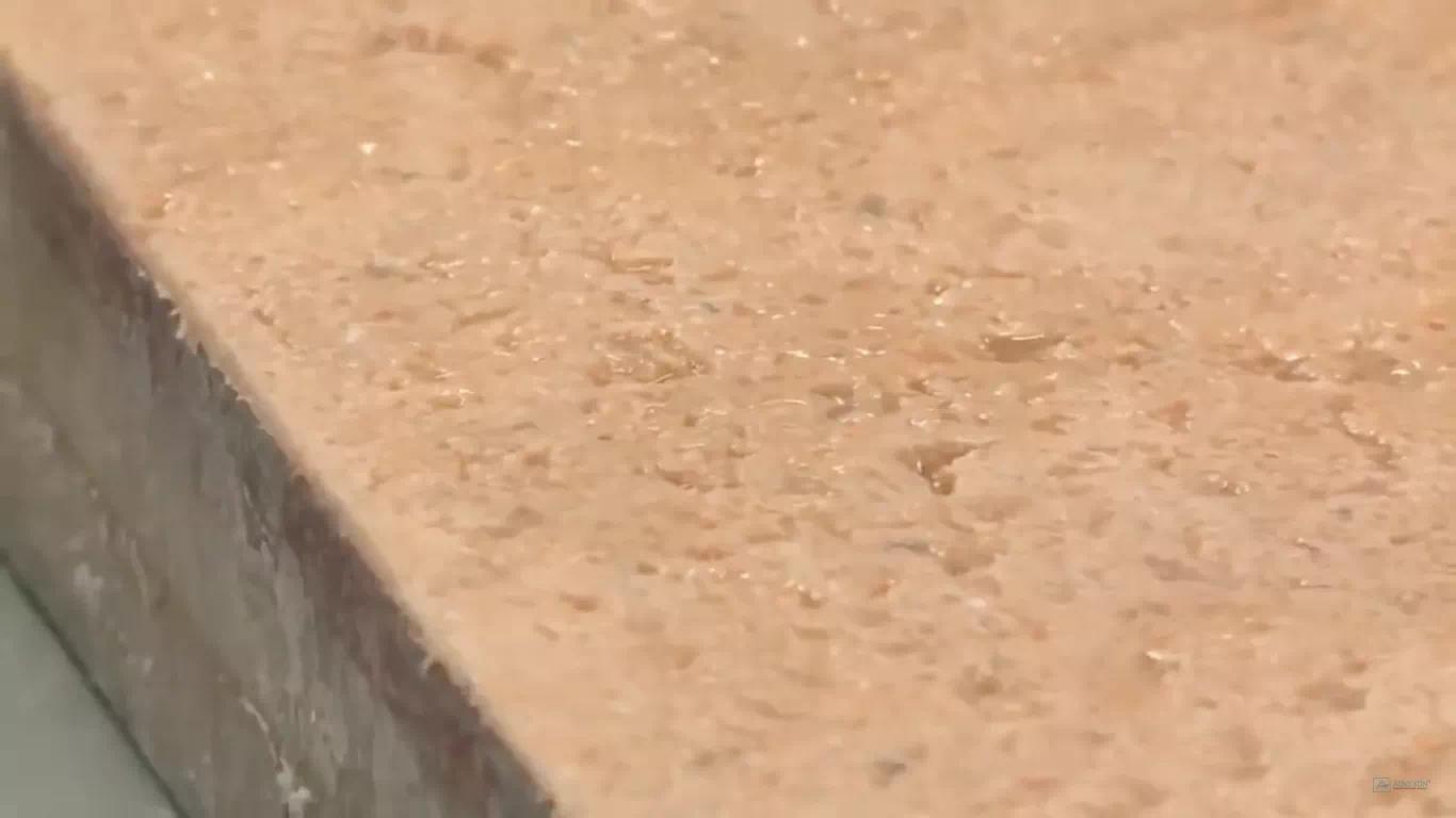 曾标榜健康的进口海鲜，幕后养殖曝光，堪比垃圾食品（菲李漫画）