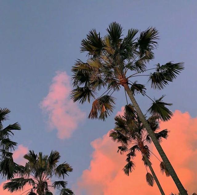 适合夜间好听的文字短句,夜晚简短有格调的句子