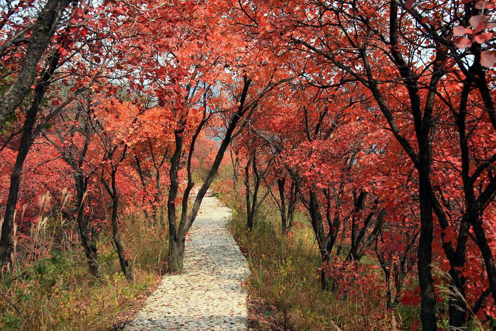 三门峡市黄河大坝旅游景区,河南省三门峡市旅游景点