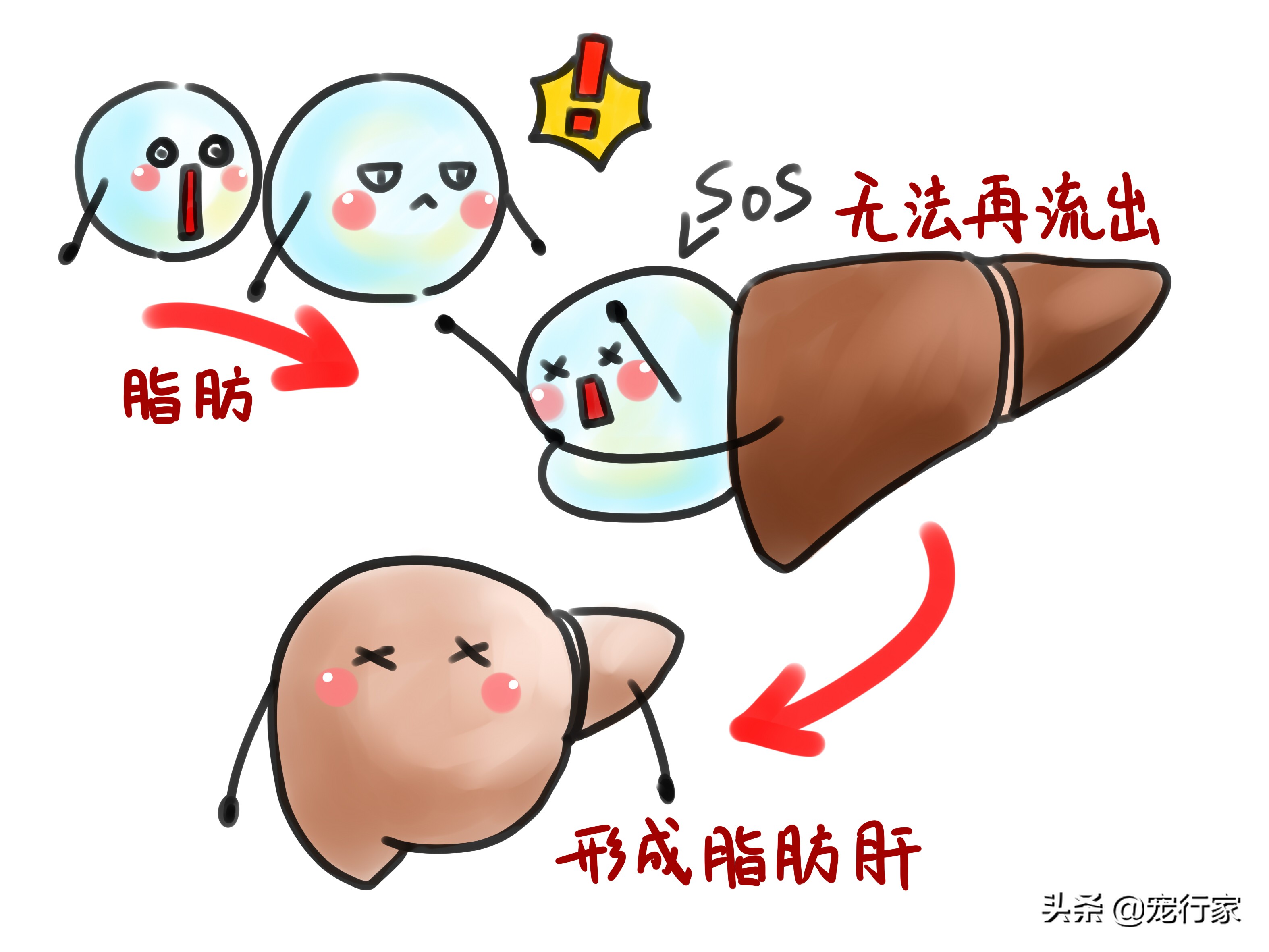 猫咪闹不听话,猫咪吃零食不吃粮了怎么办