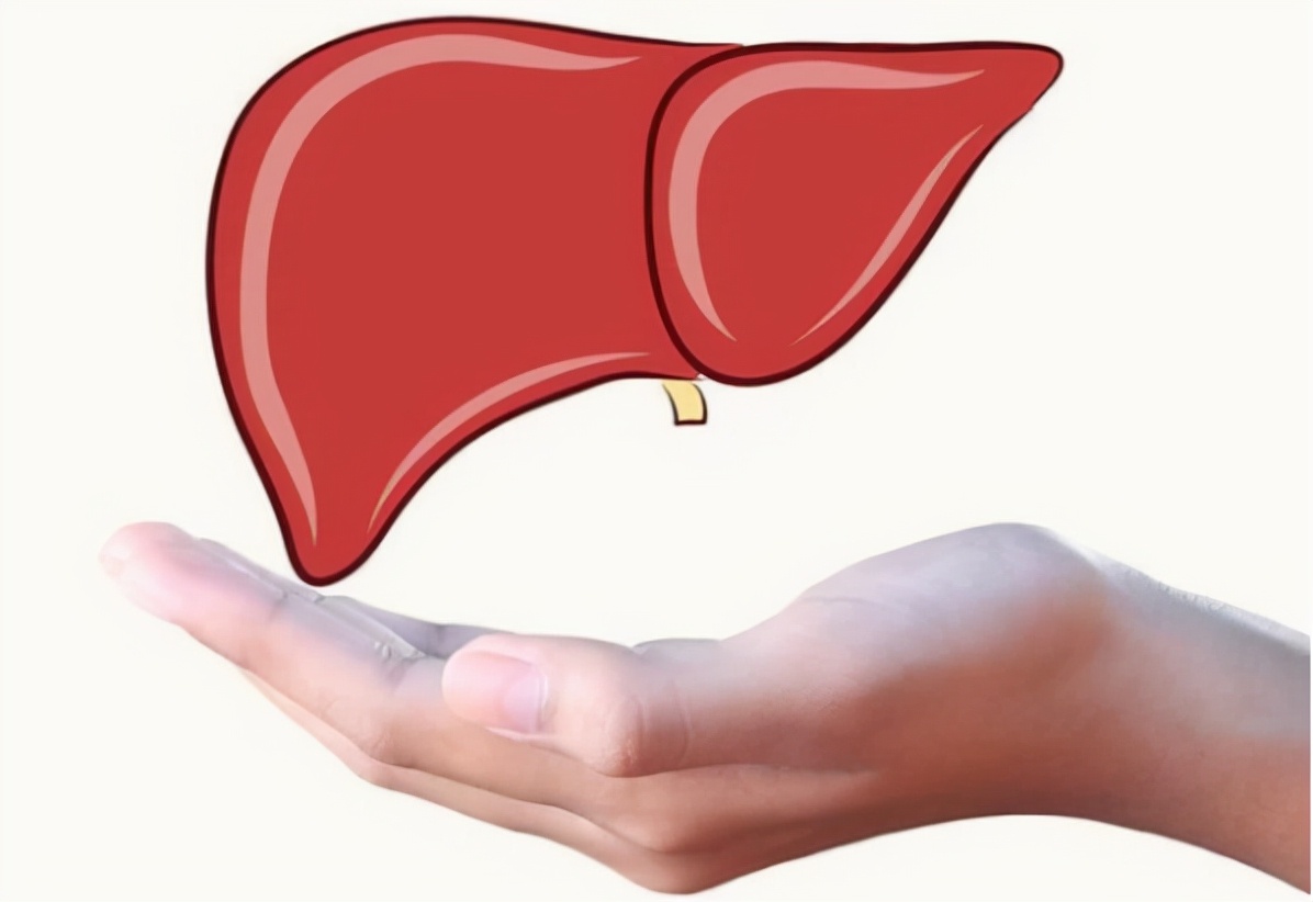 体检报告看不懂31种指标,体检报告看不懂