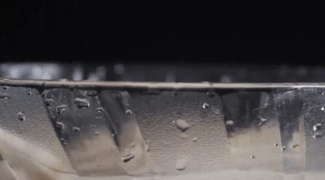 莲藕孔里面的脏污怎么清除,莲藕孔里有一层黑膜怎么清洗