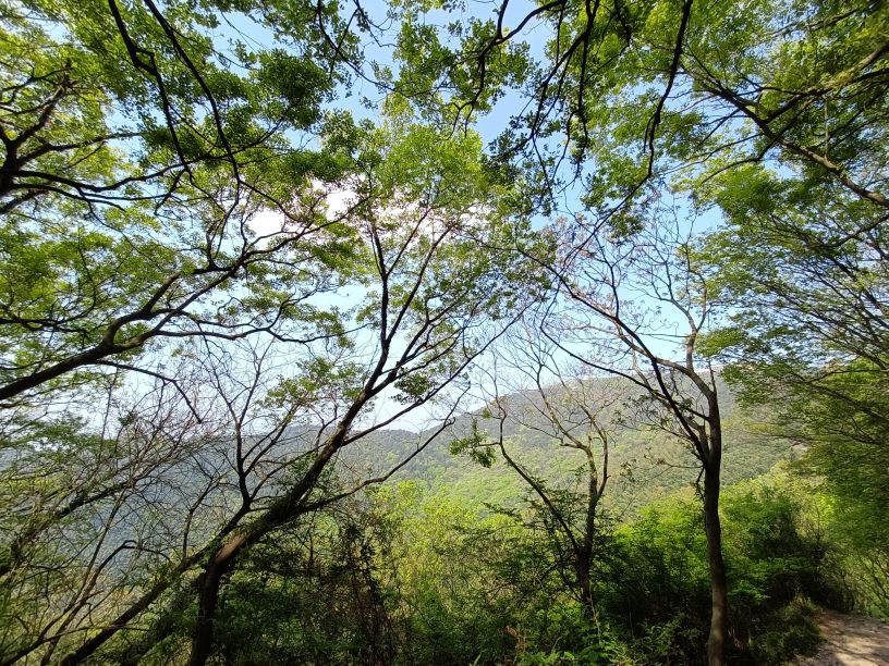 苏州第一高峰穹窿山,苏州最高的山穹窿在哪里