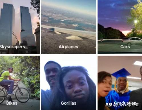 将黑人识别为“灵长类动物”？脸书AI的歧视源自人类内心