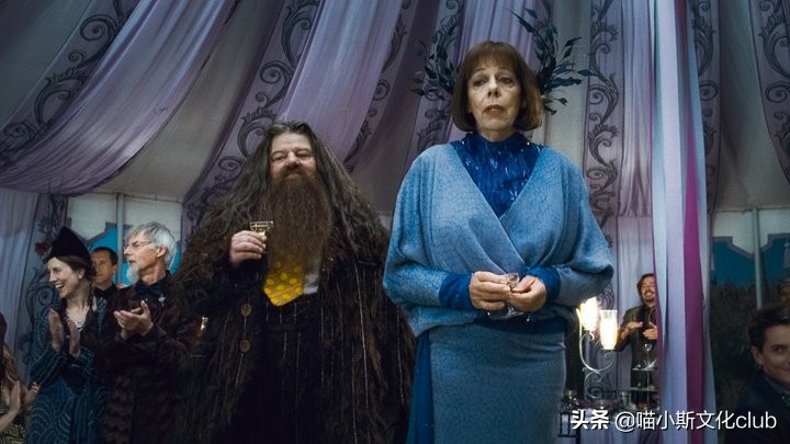 哈利波特中的海格是怎么死的,海格和马克西姆夫人身高差