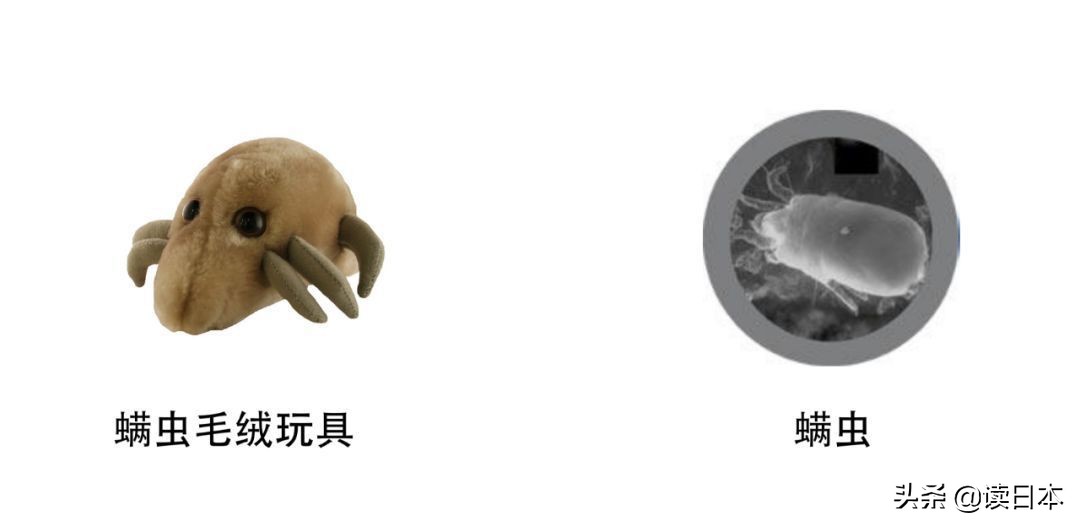 “*体器人官**”挂件或成为日本最新潮流?网友:我的钱包又要哭了