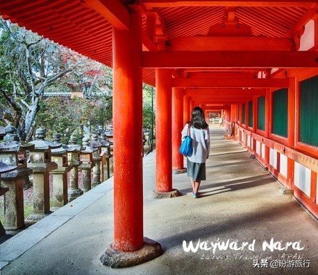 散步关西の日本深度自由行大阪都门奈良城崎、白滨温泉(上篇)