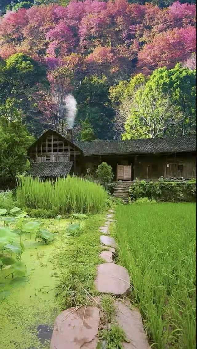 《春山奇案》49昧良心贪财当杀手遇魔鬼恶报命难逃