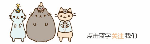 怎么给猫挑选猫粮,喜马拉雅猫怎么挑选