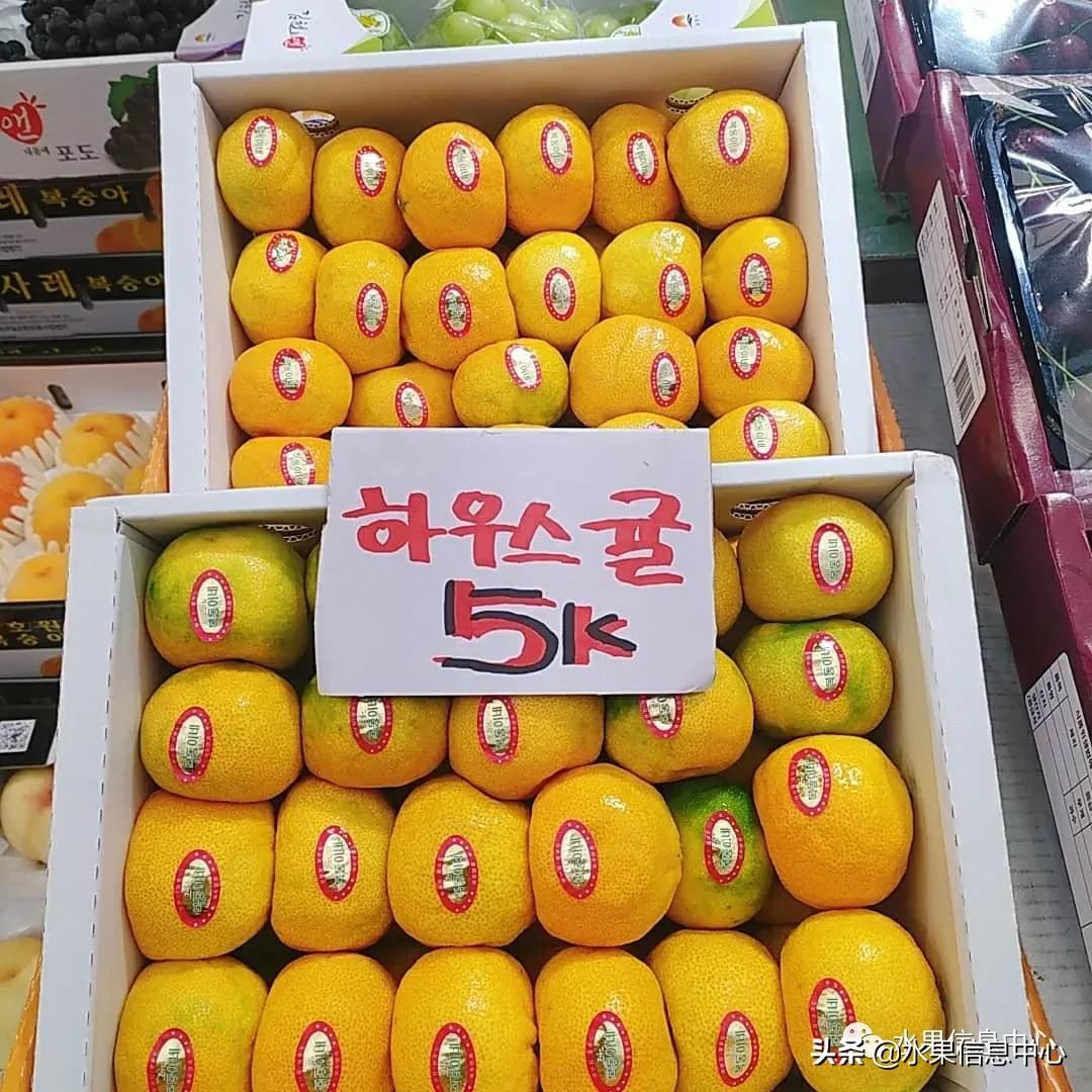 韩国的蔬菜水果批发市场,韩国最便宜的苹果水果