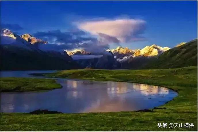 伊犁可克达拉草原,伊犁草原之旅