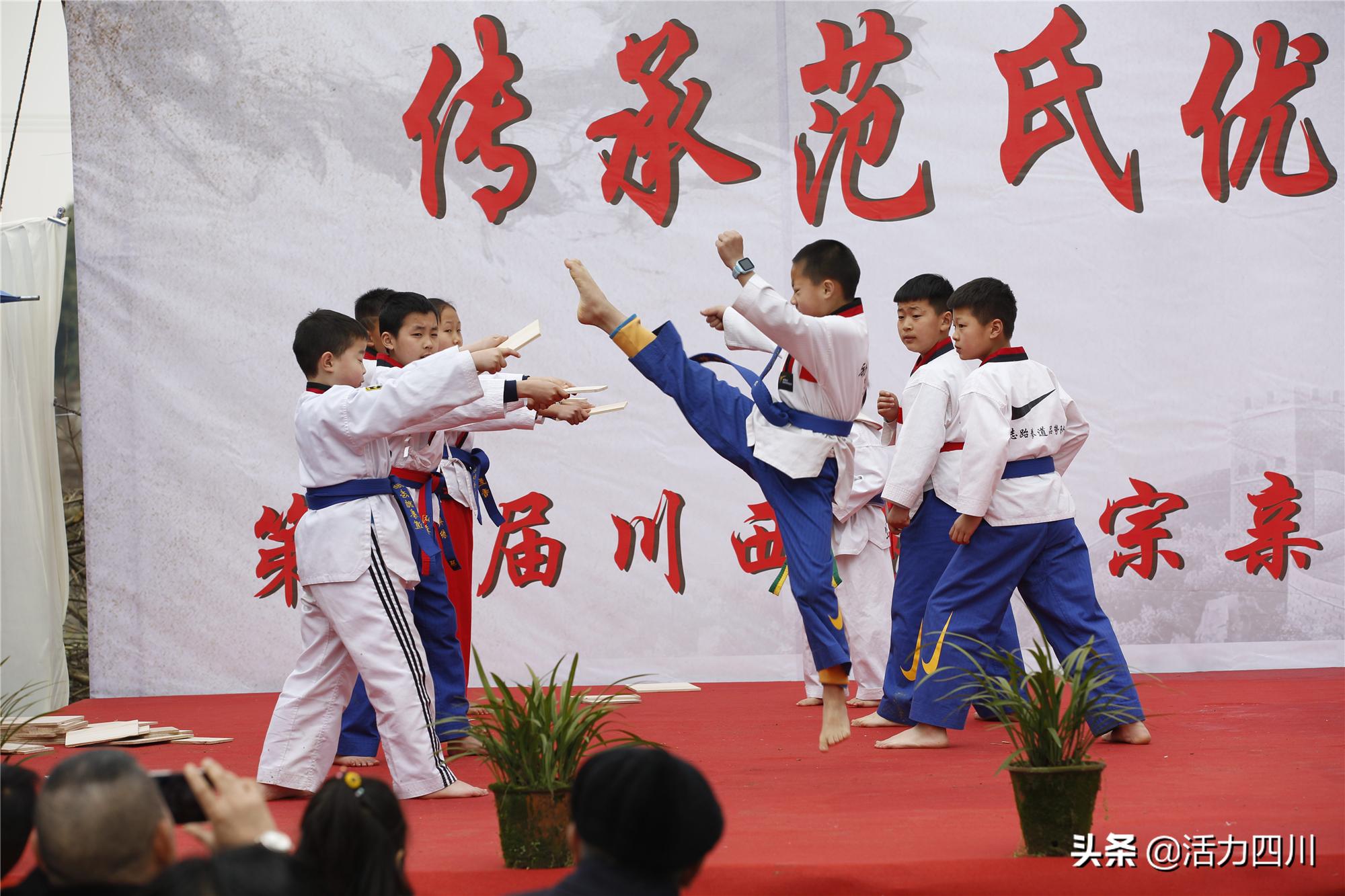 弘扬范氏,弘扬范氏家族文化