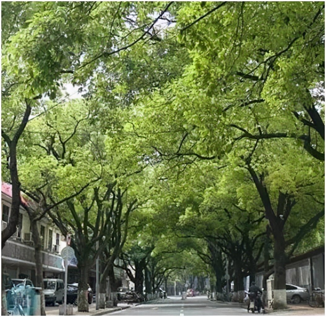 长沙街上到处走走,八一路长沙