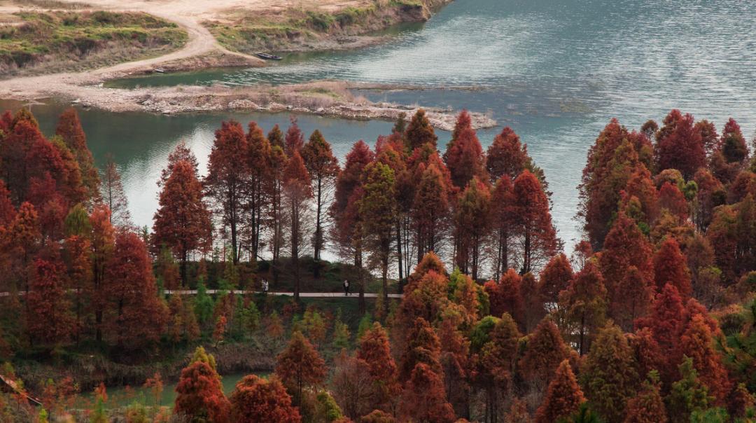 被浙江私藏的小城有多美,宁波最隐藏的海岛