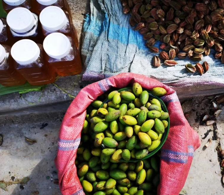 云南最美丽的民族,云南少数民族彝族风景