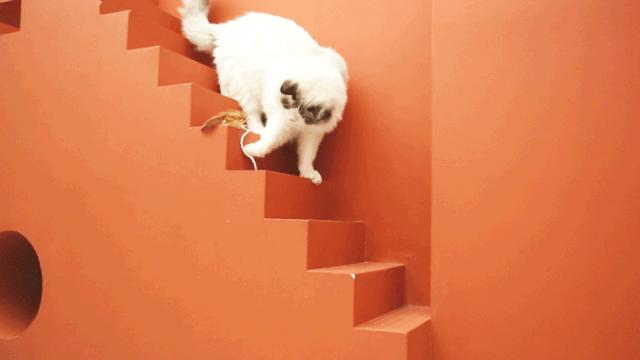 上海探店私藏小众咖啡馆,上海最便宜的咖啡店