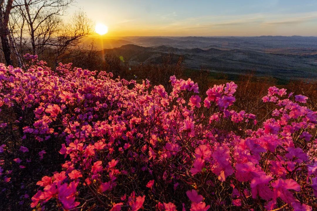 内蒙古通辽扎鲁特旗5条自驾游线路和景点攻略