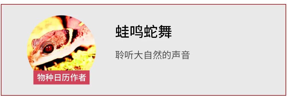 蝌蚪发育成婴儿的全过程,小蝌蚪是怎么形成的你知道吗
