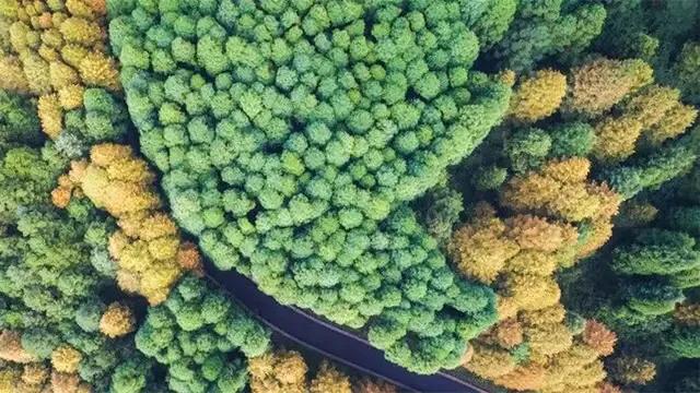 华为遥感数据,华为长光卫星遥感