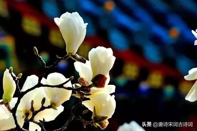 人生十首孤独绝美的诗词,闲适诗词50首