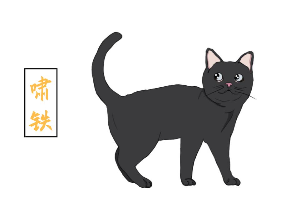 你养的猫在古代都叫什么名字,想知道你家猫在古代是什么样子吗