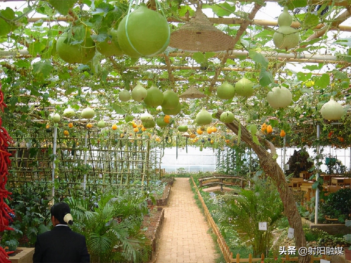 全市唯一！射阳的这个村不简单，再次入选“国字号”名单