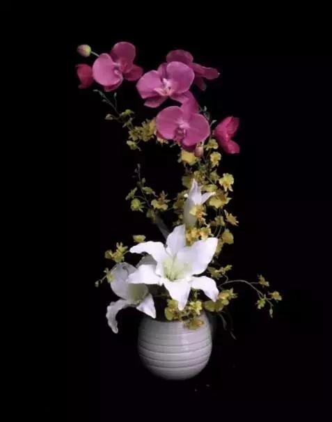 十大名贵花卉图片大全,十大名贵花卉家庭盆栽易养活的花