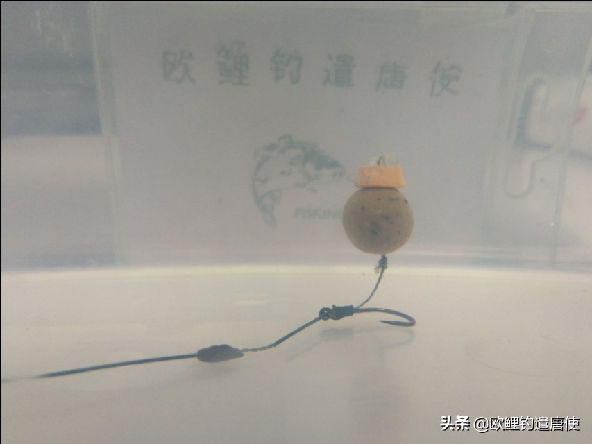 话说欧鲤钓之科学篇,欧鲤钓知识讲解