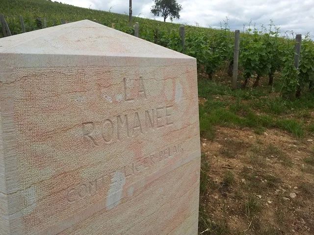 葡萄酒五大名庄产生背景,穿过历史的长河