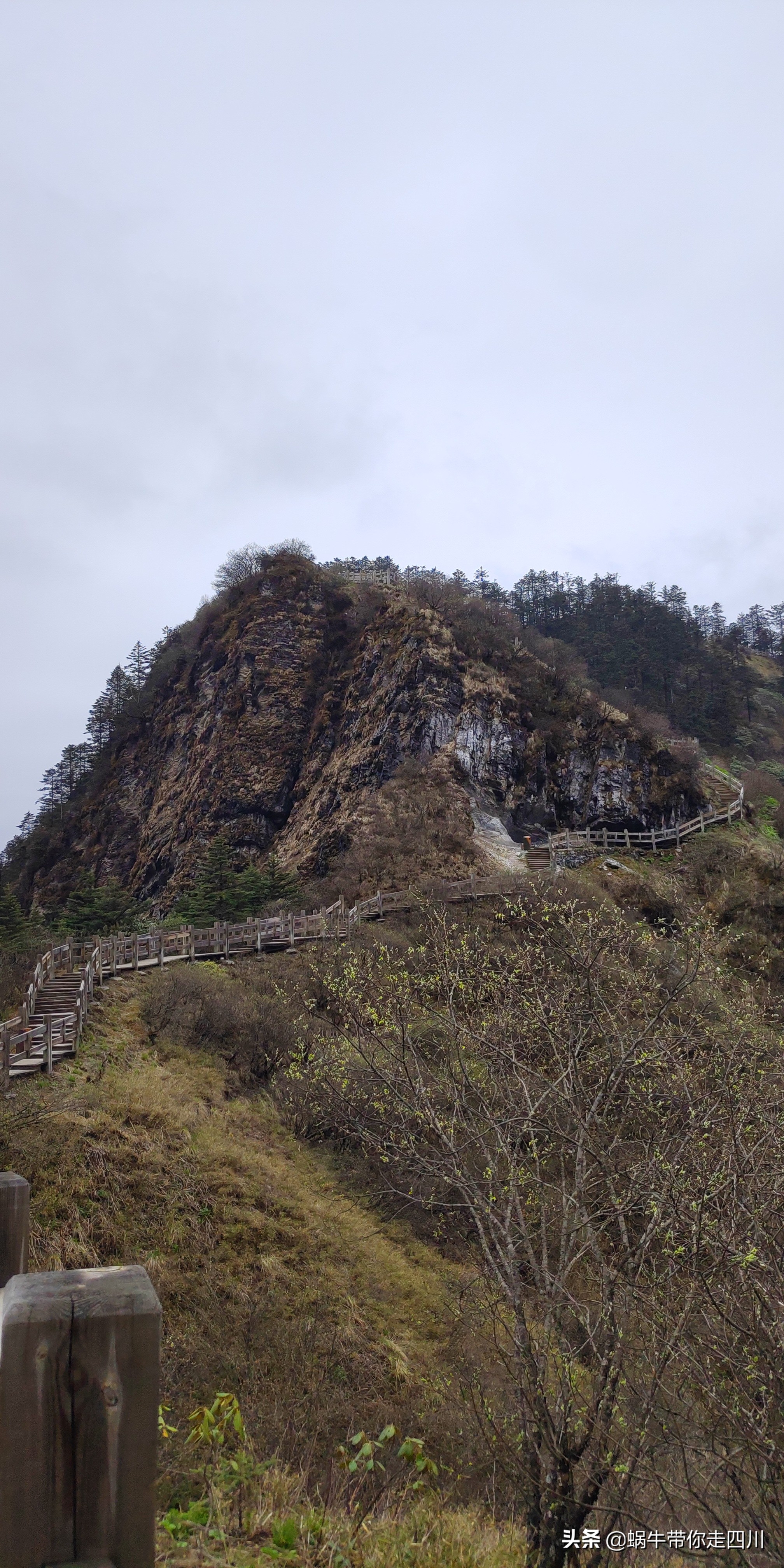 成都去西岭雪山两天一夜旅游团,成都出发雪山旅游