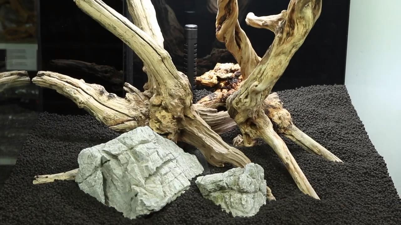 鱼缸造景水草需要二氧化碳吗,胶粘完水草可以直接放在鱼缸里吗