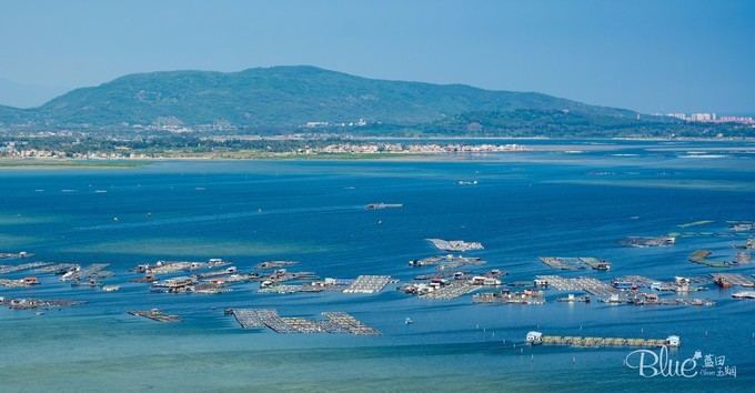 三亚南湾猴山岛,三亚南湾猴岛好玩的地方