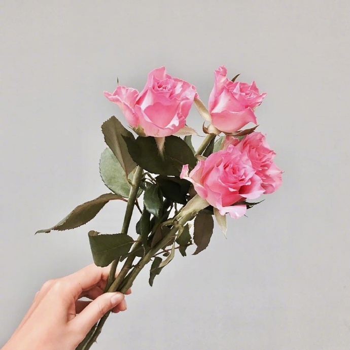 心灵鸡汤短句一句话经典语录,心灵鸡汤经典语录干净短句