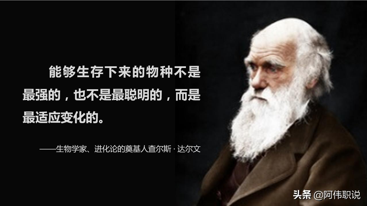 如何增强客户体验提升市场地位,异步提升客户体验