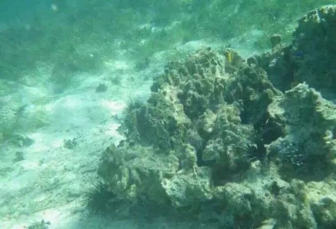 鲁滨逊漂流记荒岛生存指南,鲁滨逊漂流记惊险刺激及求生方法