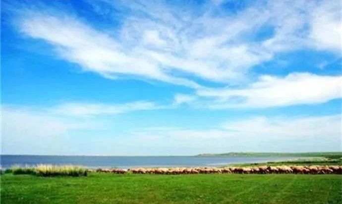 呼伦贝尔不为人知的景点,呼伦贝尔地区道路风景