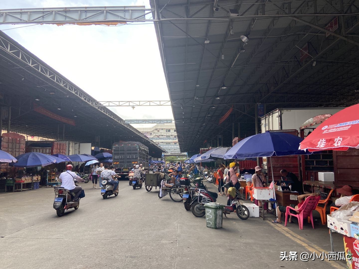 海口水果批发市场各种水果价格,离这里最近的海南水果批发市场