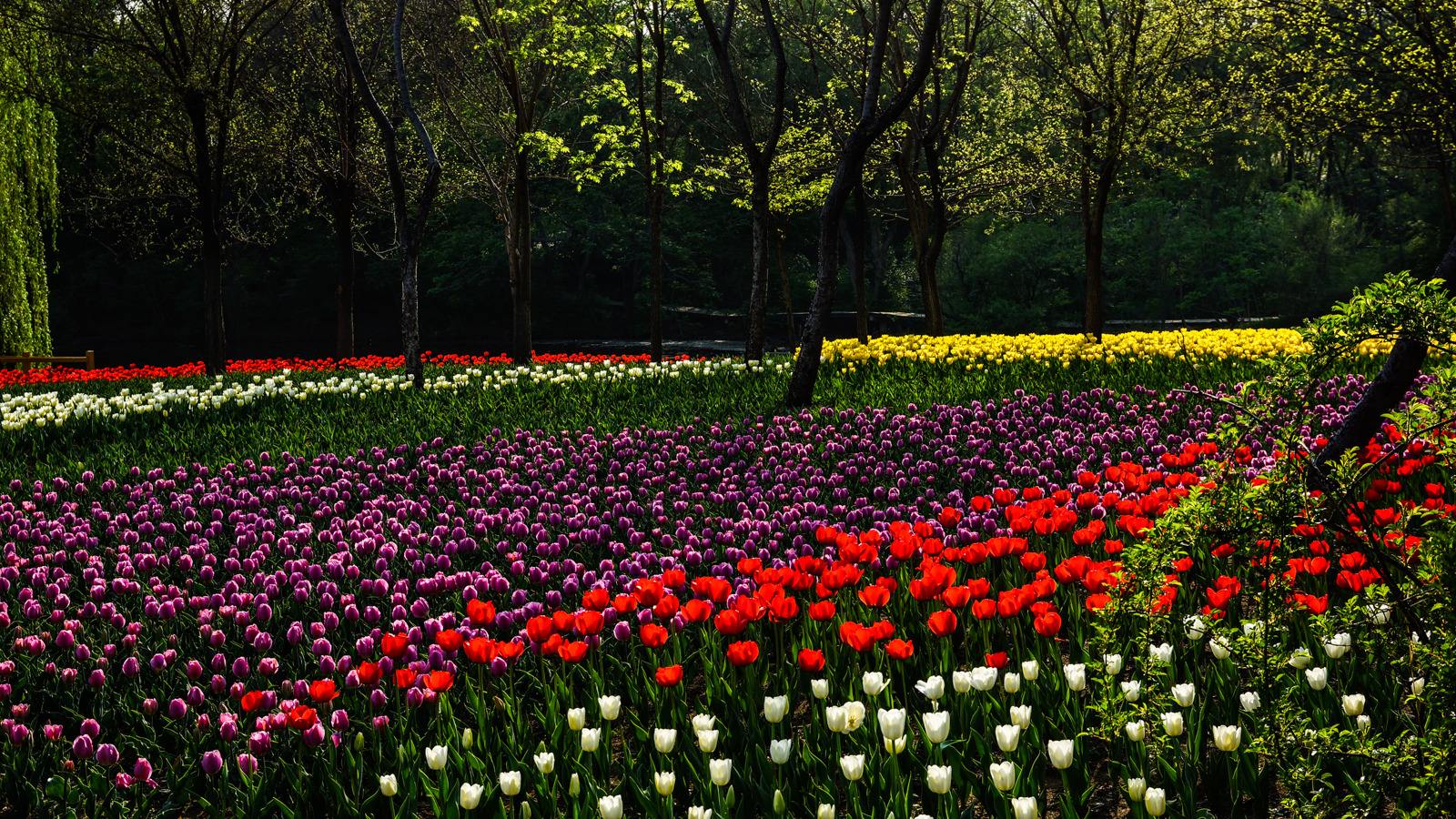 辽宁古城旅游景点大全攻略图,辽宁十大经典旅游景点你去过几个