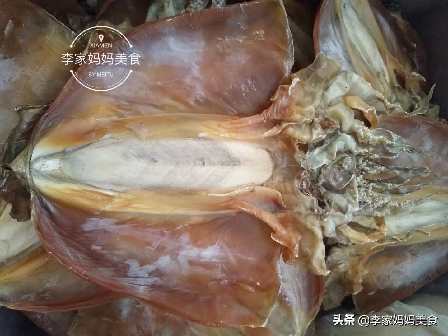 适合秋冬季吃的海鲜有哪些,这8种海鲜冬天吃更美味