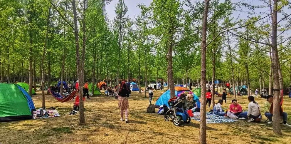 济南适合带娃去的公园,济南适合遛娃的景区