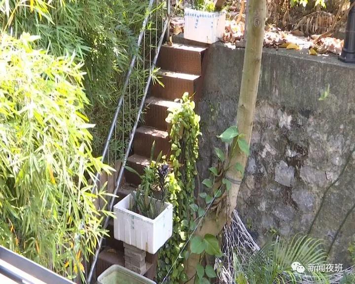 邻居挂恐怖“巫术娃”诅咒我，只能忍吗？我们问了12348律师