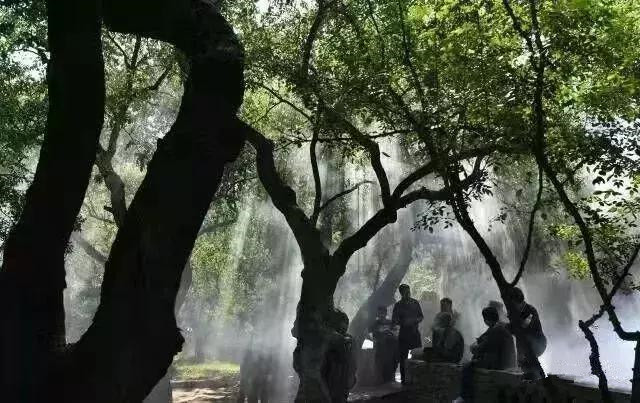 榆林网红打卡地生态公园,榆林十大网红打卡地