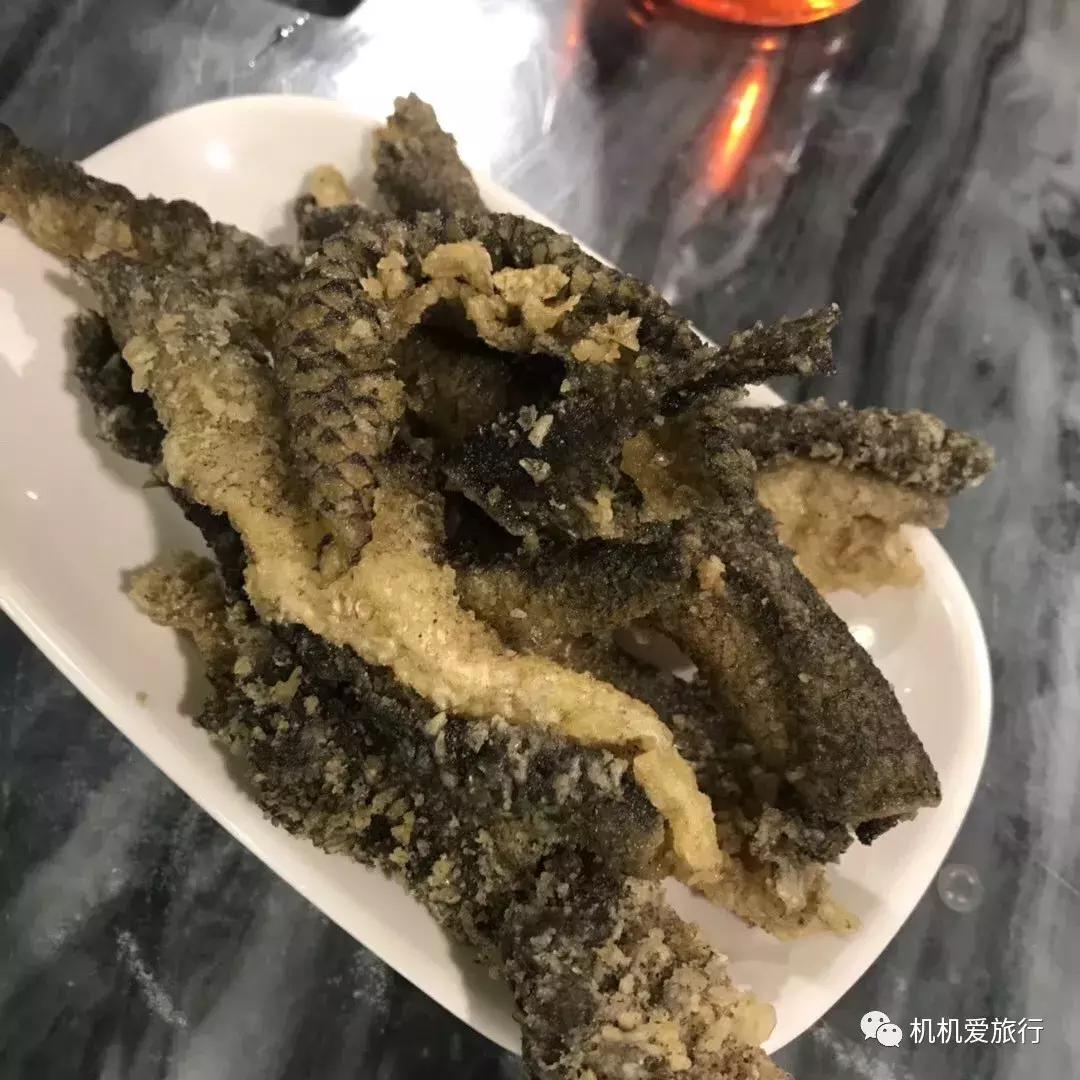 珠海长隆和广州长隆旅行攻略,珠海长隆和广州长隆旅游攻略区别