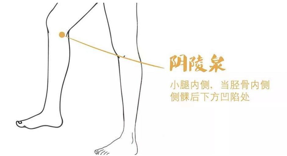 身上带的最强健脾穴位,冬病夏治敷贴穴位示意图