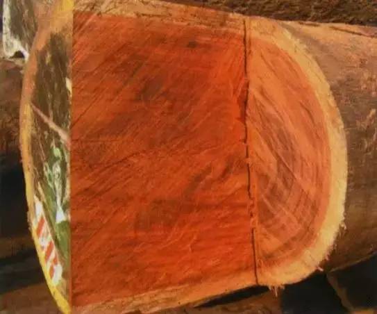 各种木材硬度排行,木材的密度和硬度对照表