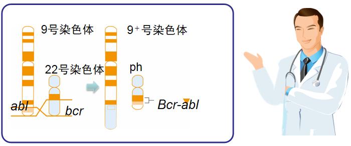 cml是很严重的白血病吗,一附院血液科专家介绍