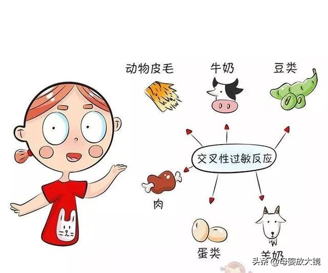 羊奶粉哪一款适合牛奶过敏宝宝,羊奶粉适合牛奶过敏宝宝喝吗