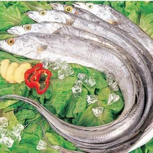 5种长相丑陋但很鲜美的海鲜,5种公认最好吃的海鱼品种